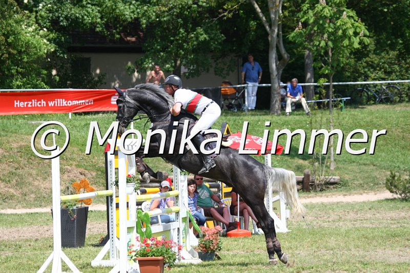 105M3661_Jps Cedric_Spring_L.JPG